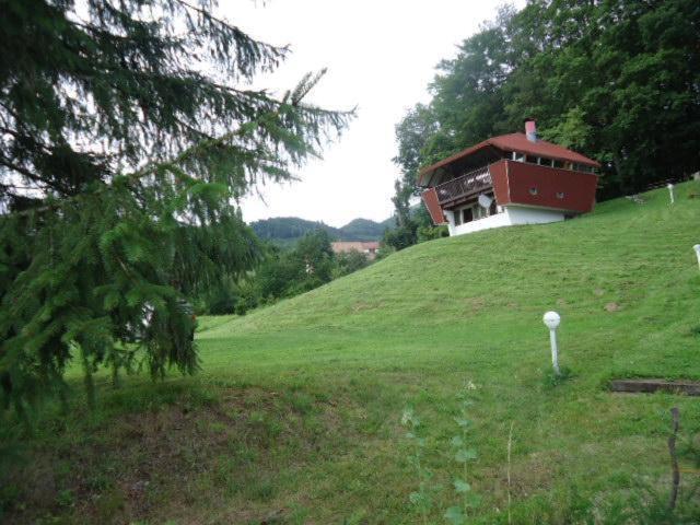 Chalet Contemporain Plein Nature Altenbach Eksteriør bilde