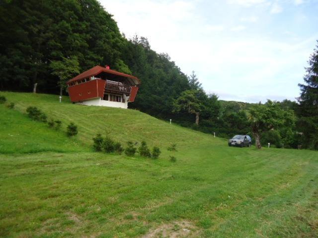 Chalet Contemporain Plein Nature Altenbach Eksteriør bilde
