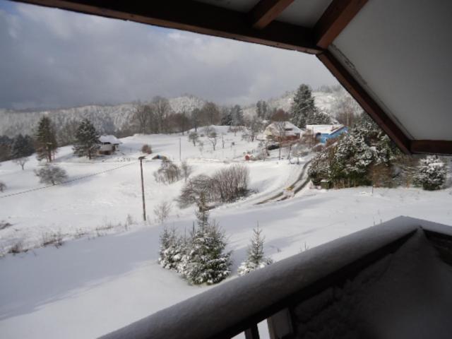 Chalet Contemporain Plein Nature Altenbach Eksteriør bilde