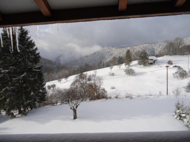 Chalet Contemporain Plein Nature Altenbach Eksteriør bilde