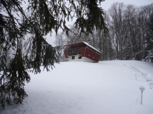 Chalet Contemporain Plein Nature Altenbach Eksteriør bilde